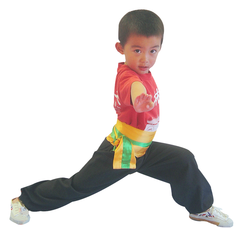 delhi kungfu india courses