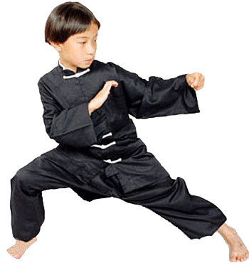 delhi kungfu india faq